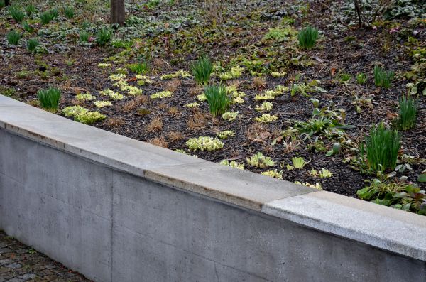 Cost of Concrete Wall Construction in Bay City