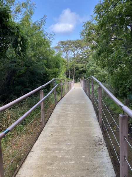 Cost of Footpath Construction in Bay City
