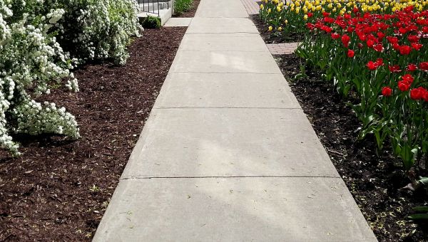 Cost of Sidewalk Slab Replacement in Bay City