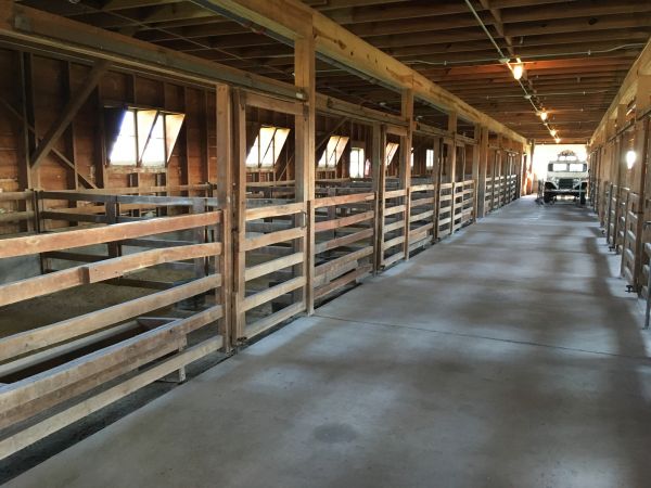 Cost of Barn Floor Pouring in Bay City